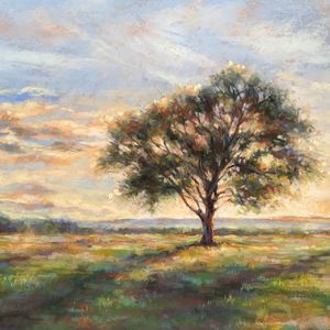 Daniel O’Donnell’s Tree