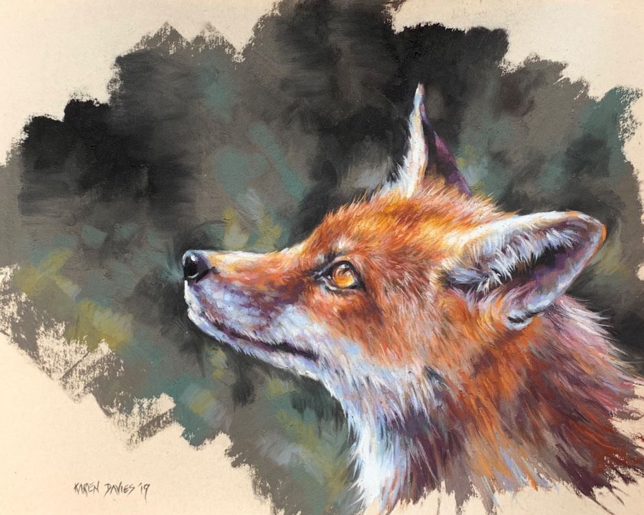 Fox Study