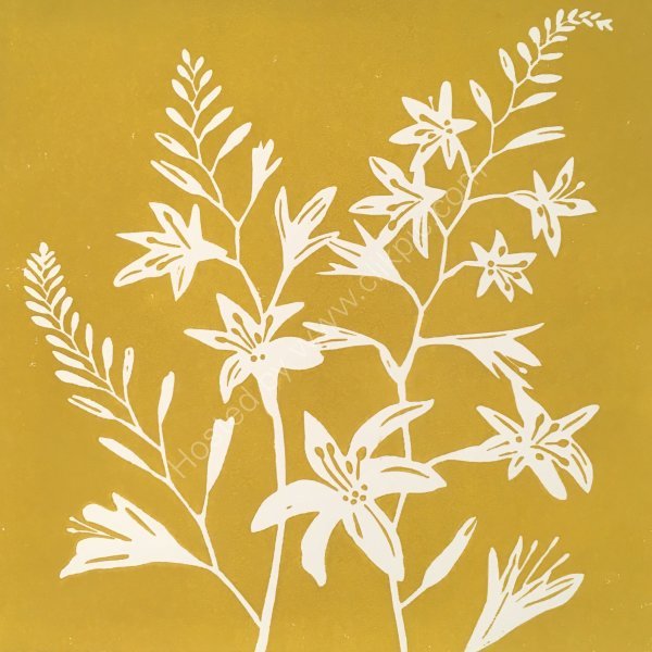 Crocosmia