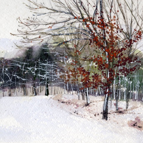 Frosty Beeches
