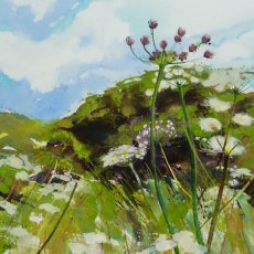 Cow Parsley, High Summer
