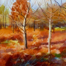 Autumn Glow, Wiltshire