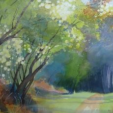 Summer Woods