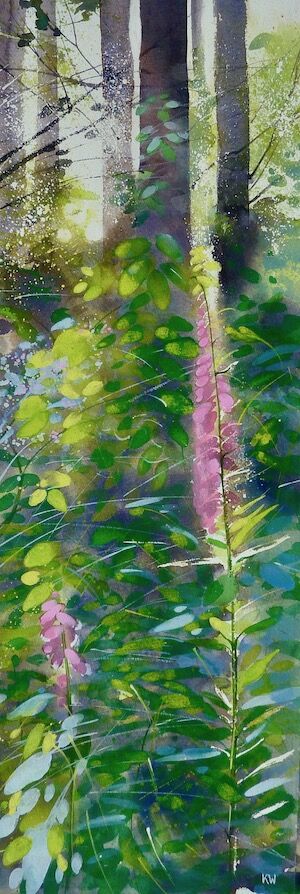 Woodland Shadows II