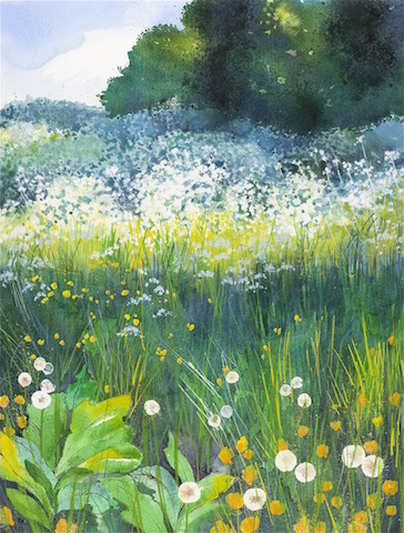 Meadow