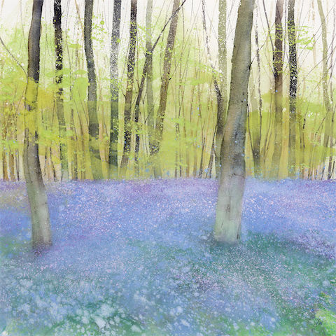 Blue Haze