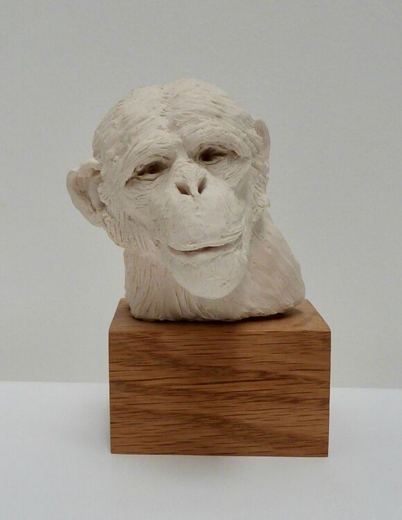 Here's Looking At You Kid!