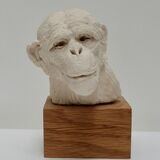 Here's Looking At You Kid!