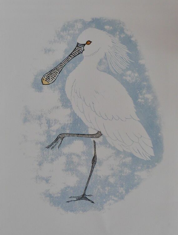 Spoonbill