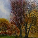 Autumn College (commission)