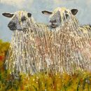 Yearling Yews (sold)