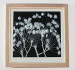 'Blue Cow Parsley' Picture, £135