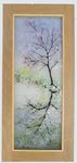 'Cherry Blossom Reflections #1' Picture, £195