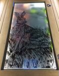 'Hare' Wine Store Cover