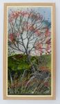 'Autumn in Osberton Wood', £145