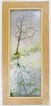 'Cherry Blossom Reflections #2' Picture. £195