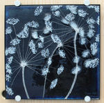 Blue Cow Parsley Wall Panel. SOLD