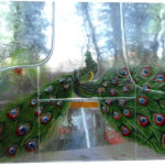 Peacock Boat Window
