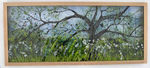 'Weird Oak' - Exhibited at 'Old Chapel Gallery' Weymouth