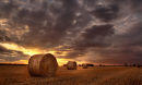Three Bales