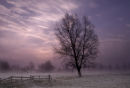 Freezing Fog