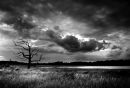Benacre Broad B&W