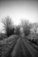 Country Road