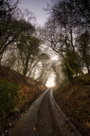 Cuckoo Lane