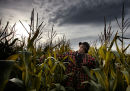 Scarecrow