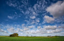 Spring Farmland