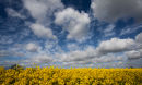 Spring Sky
