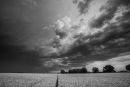 Storm Clouds