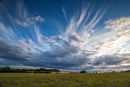Summer Sky