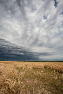 Summer Storm