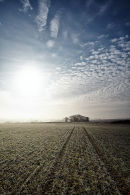Winter Sunrise
