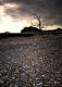 Benacre Beach