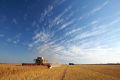 Harvesting