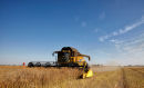 New Holland