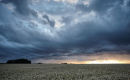 Storm Cloud