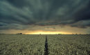 Thunder Over Wheat Field