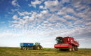Pea Harvester