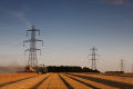 Norfolk Havest Scene
