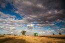Harvest Scene