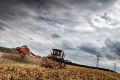 Autumn Cultivations