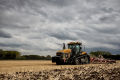 Cultivating