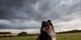 Sheltie Pup