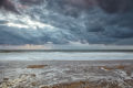 Winterton