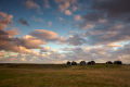 Winterton