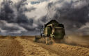 Stormy Harvest