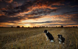 Sunset Walk